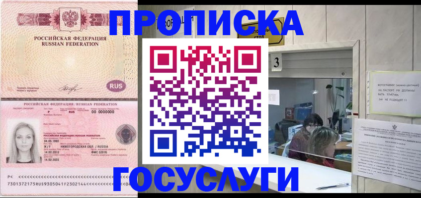 прописка паспорт в Борзе
